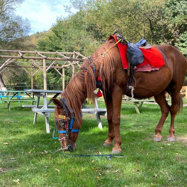 Beykoz Loresima Garden'da Doğayla Baş Başa Serpme Kahvaltı Keyfi KİŞİ BAŞI 1