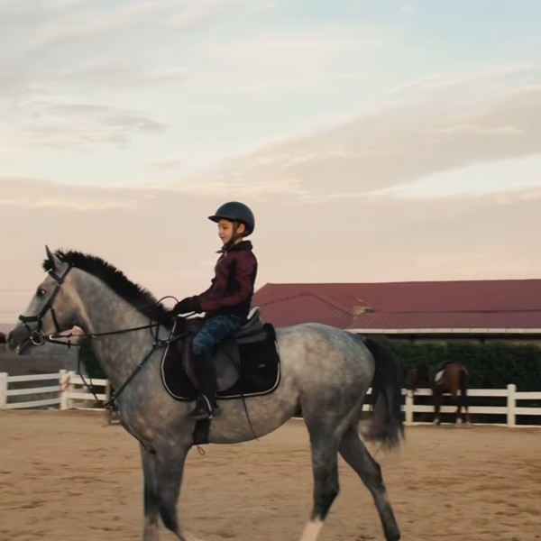 Silivri karaca At çiftliğinde Yemyeşil Doğada Temiz Havada Serpme kahvalti. At binme ve arazi Safarisi 4