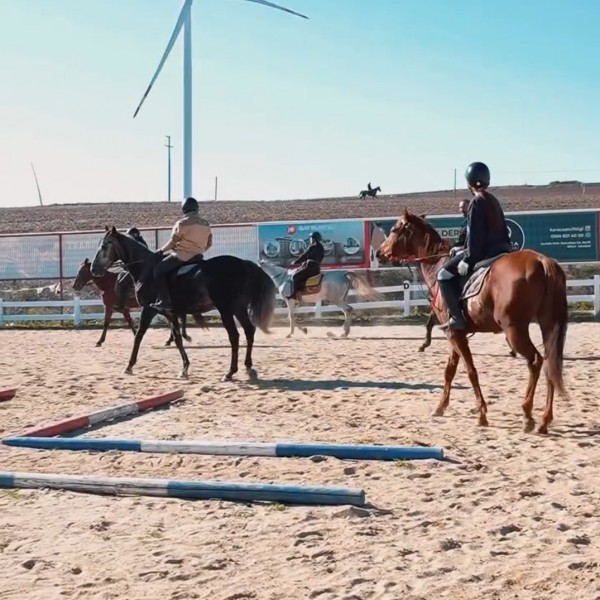 Silivri karaca At çiftliğinde Yemyeşil Doğada Temiz Havada Serpme kahvalti. At binme ve arazi Safarisi 5