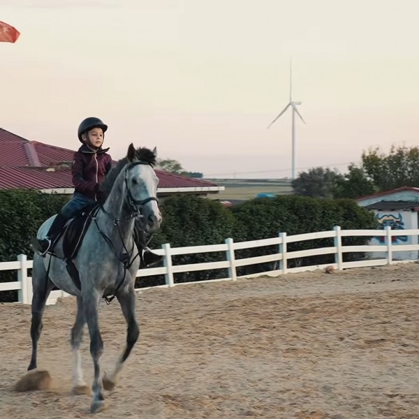 Silivri karaca At çiftliğinde Yemyeşil Doğada Temiz Havada Serpme kahvalti. At binme ve arazi Safarisi 2
