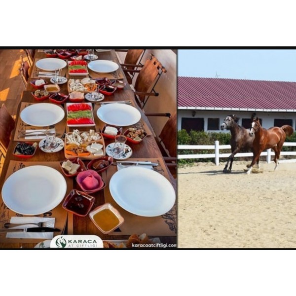 Silivri karaca At çiftliğinde Yemyeşil Doğada Temiz Havada Serpme kahvalti. At binme ve arazi Safarisi 3