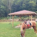 BEYKOZ    Hüner Park'ta kahvaltı sofranız sizi bekliyor.. 6
