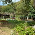 Beykoz Loresima Garden'da Doğayla Baş Başa Serpme Kahvaltı Keyfi KİŞİ BAŞI 3