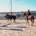 Silivri karaca At çiftliğinde Yemyeşil Doğada Temiz Havada Serpme kahvalti. Ve 1 Saat At Binme Safarisi 2